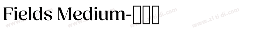Fields Medium字体转换
